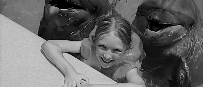 Happy Little Girl with two Dolphins in Swimming Pool